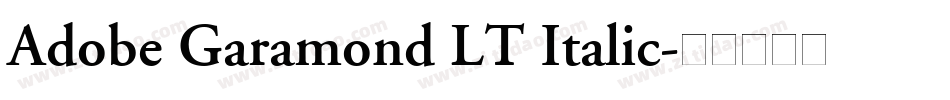 Adobe Garamond LT Italic字体转换